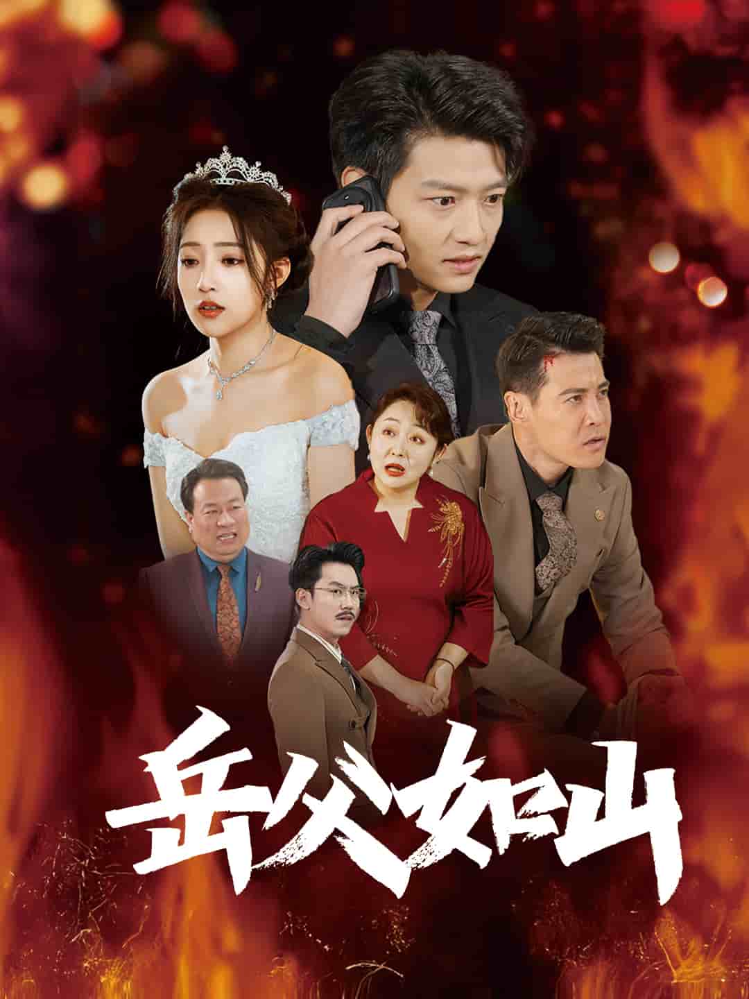 岳父的礼物(全集)